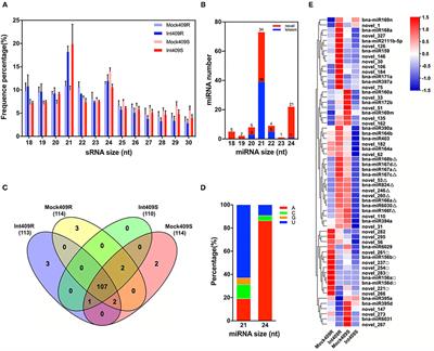 Identification of Micro Ribonucleic Acids and Their Targets in Response to Plasmodiophora brassicae Infection in Brassica napus